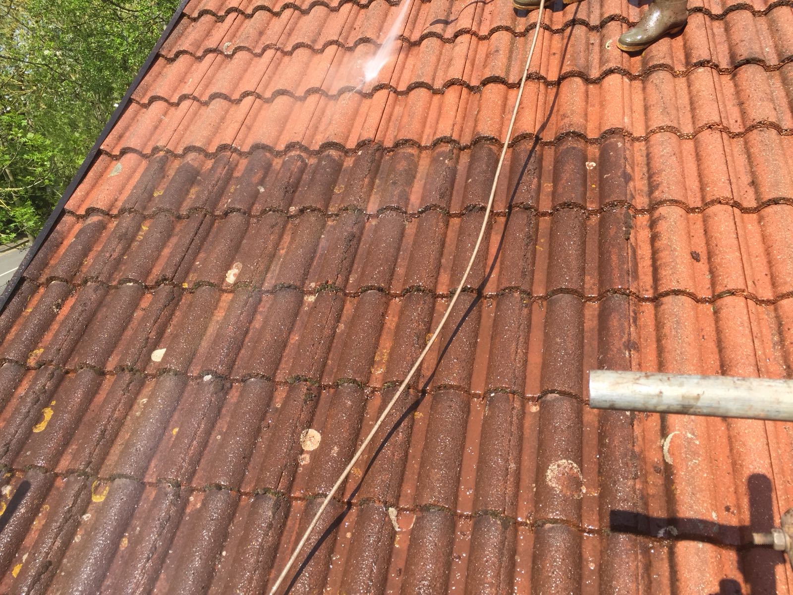 Slate roof tiles on a Northamptonshire property before cleaning assessment